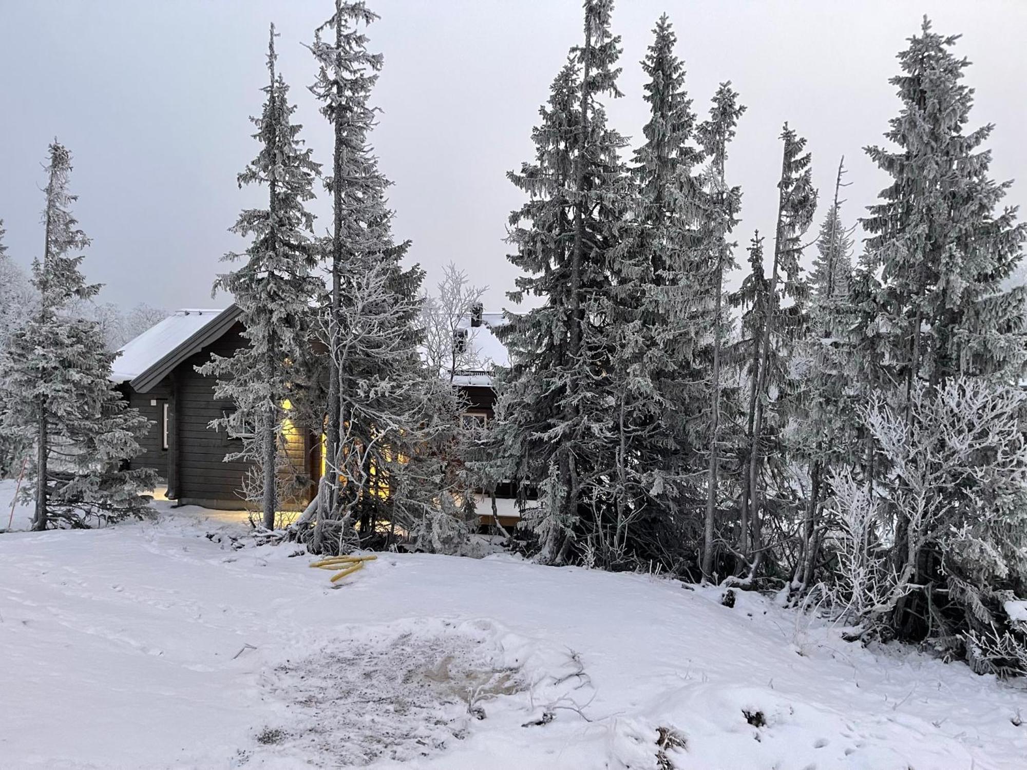 Mountain Holiday Homes - Ottsjoe, Trillevallen -Sweden Are Ruang foto
